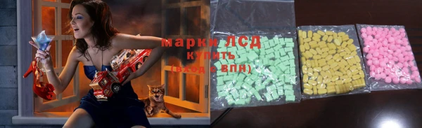 крисы Алзамай