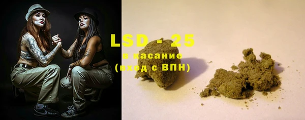 крисы Алзамай