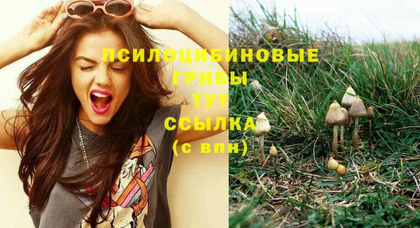крисы Алзамай