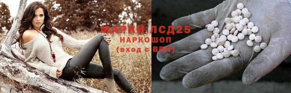 крисы Алзамай