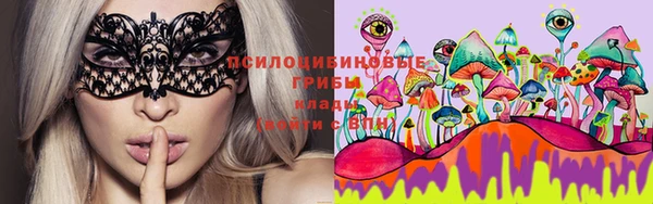 apvp Абинск
